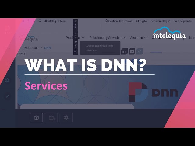 Servicios de Desarrollo y Soporte en DNN