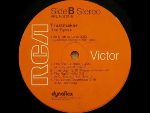 THE TYMES - You Little Trustmaker