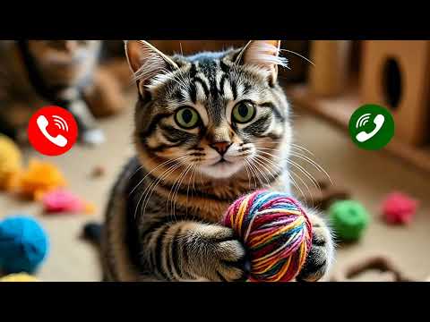 Ring tone calling📱 notification | CEO cati called zalam7b @Mateena