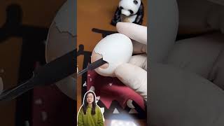 Stress-relief videos going viral in China #china #chinese #rednote #calm #stress #weird #funny