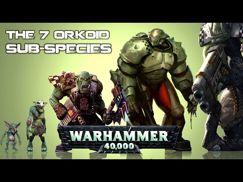 List of all Ork Species in Warhammer 40K Universe