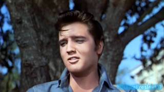 Elvis sings Gotta Lotta Living To Do (2K HD)