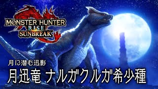 【MHRSB】月迅竜ナルガクルガ希少種【part.4】