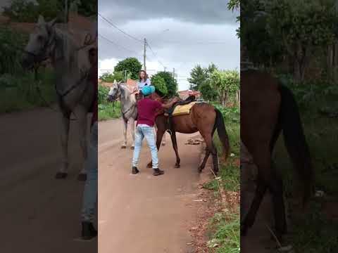 os cavaleiros de Goianira GO