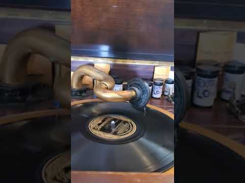 I'll See You in my Dreams - (vocal Frank Bessinger) (Isham Jones conductor) Ray Miller's Orchestra