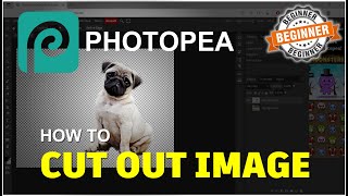 Photopea How To Cut Out Image Tutorial