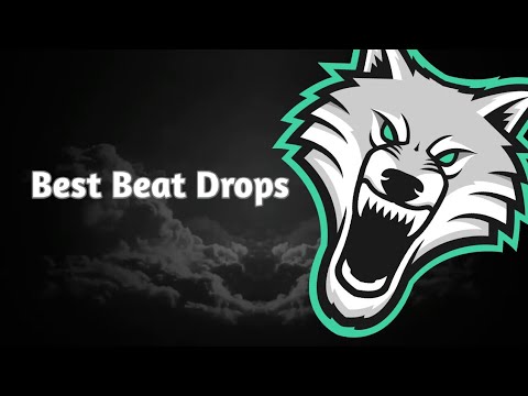 Top 10 Beat Drops From TrapWolves !!!