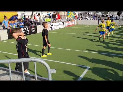 ZEMUN KUP 2022 - Sariceve bebe - Voce Perovic