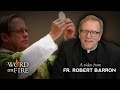 Fr. Robert Barron on the Real Presence of Christ in ...