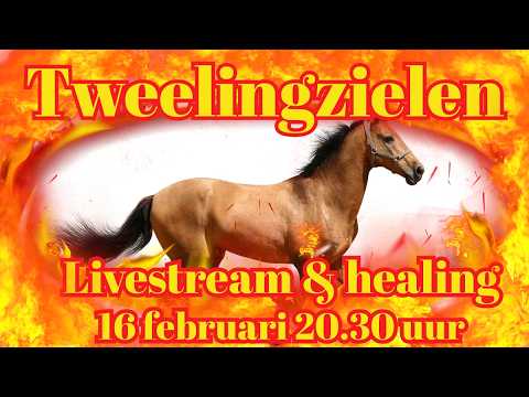 Tweelingzielen: Livestream & Healing