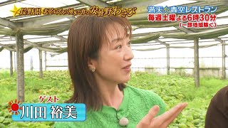 満天☆青空レストラン　9/19放送「長野県　安曇野わさび」