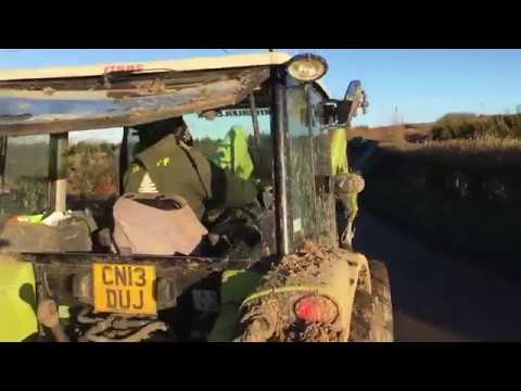 What it's like to run a Christmas tree farm