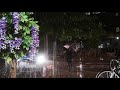 Rainy Night Whats App Status