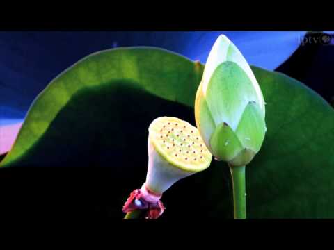 David Heusinkveld: Tragedy & Recovery | Iowa Outdoors