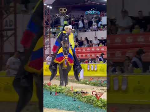 Los GC nacionales P1 tango de la fantasía y policarpa de la trocha 🏆🔥