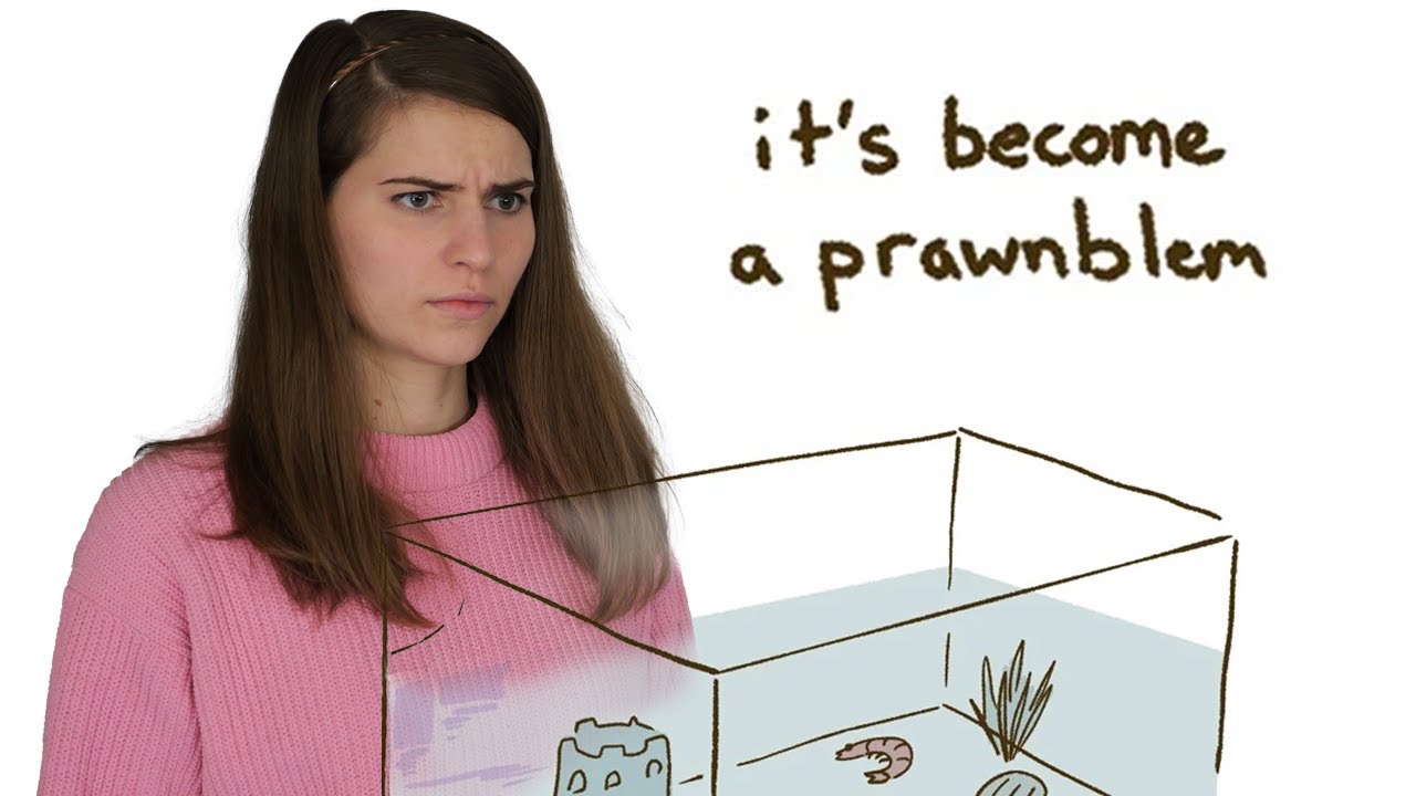 Exploring Info.plist: Essential Knowledge for iOS Reverse Engineering