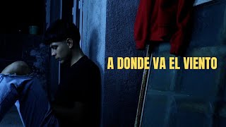 Download lagu A donde va el viento - Julieta Venegas ( video no oficial ) mp3 Download lagu A donde va el viento - Julieta Venegas ( video no oficial ) mp3