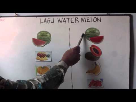 Lagu anak anak water melon