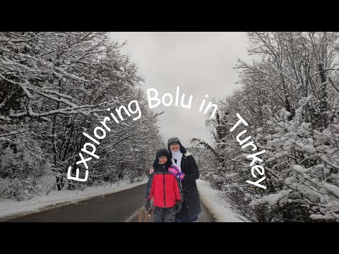 Bolu Bliss: A Magical Winter Journey