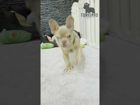 Video 3