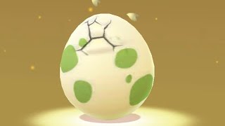 【ポケモンUSUM】孵化孵化孵化孵化孵化ッ！