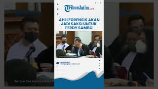 Hari ini, Ketua Tim Forensik Autopsi Ulang Jenazah Brigadir J akan Bersaksi untuk Ferdy Sambo Cs