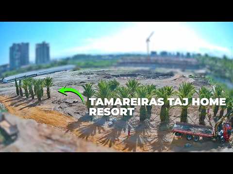 Timelapse: Taj Home Resort Date Palm Planting