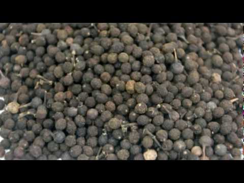 International Symposium On Medicinal Plant and Traditional Medicine (Video Teaser)