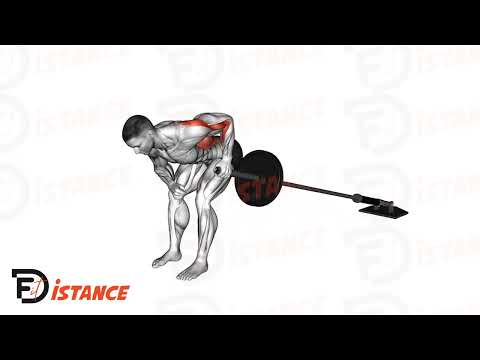 Exercice Tirage unilatéral à la landmine