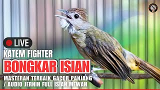 Download lagu SUARA KAPAS TEMBAK GACOR SPEED RAPAT 24 JAM⁉️MASTERAN KATEM JERNIH LANGSUNG NGEROLL & TEMBAKAN KERAS mp3