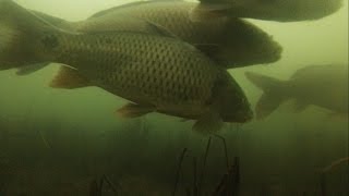 Рыбалка на зимовальной яме штраф