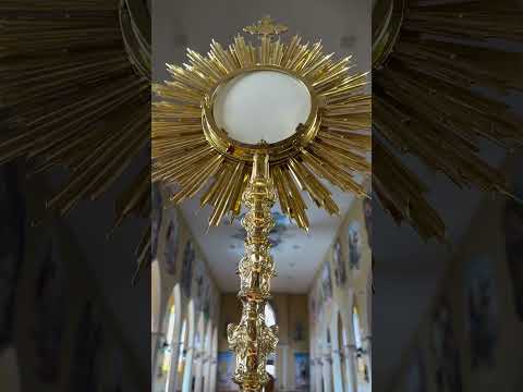 Hoy, frente a la custodia, tu fe es puesta a prueba✨