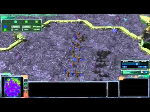 Void Ray vs Mutalisk Build Speed