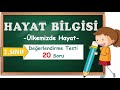 2. Sınıf  Hayat Bilgisi Dersi  Sihirli Sözcüklerim Var İNDİR: https://www.caliskanokul.com/2019/12/1-sinif-ulkemizde-hayat-degerlendirme.html ✍  ⭐DİĞER HAYAT BİLGİSİ TESTLERİ ... konu anlatım videosunu izle