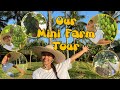 Full Tour of our Mini Farm in Naga City, Philippines | vlog || Aabbyy Perez