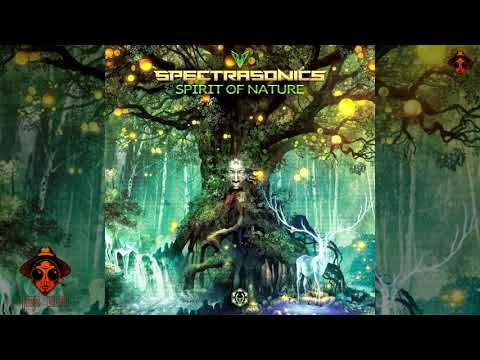 Hypnoise & Spectra Sonics - Face To Face