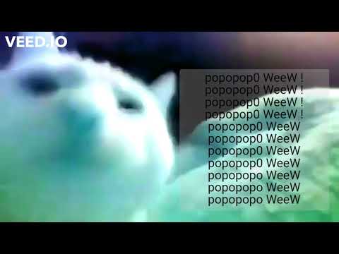 KARAOKE LYRICS VIDEO - ImCatJam