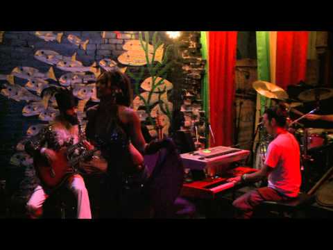 Interstellar Transmissions - Flamingo Cantina