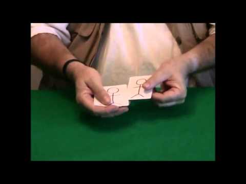 Cardboard Curiosities by Wild-Colombini Magic