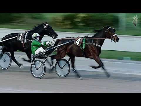 Aversa trotto 2 Gennaio 2021 - 7° Corsa