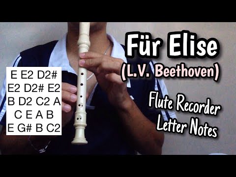 Fur Elise (Beethoven) - Flute Recorder Easy Letter Notes / Flute Chords