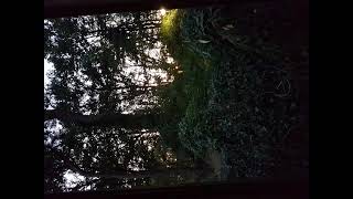 Arlo Guthrie   Lightning Bar Blues 666 000 reverse