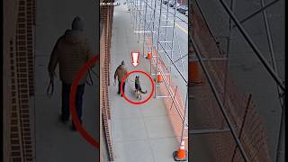 German Shepherd Drags Owner Away Seconds Before Crash