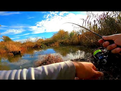 RTB Piacere 1.97m 0.1-3.5g Fast