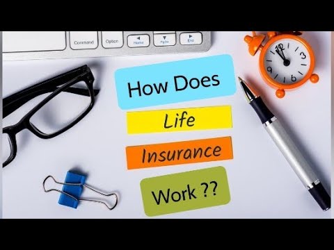 How Does Life Insurance Policy Work?? #lifeinsurance