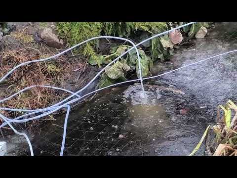 Oczko wodne 22-02-2026 W końcu odwilż .