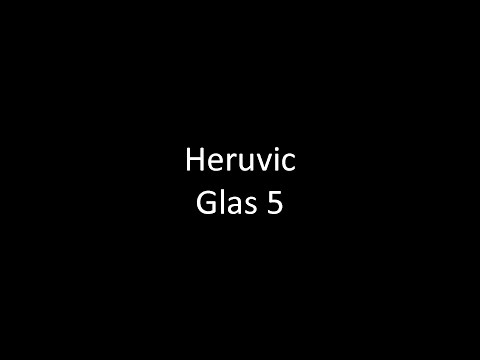 Heruvic, glas 5, Nicu Moldoveanu