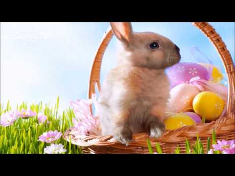 HAPPY EASTER ✨✨✨ SRECAN USKRS