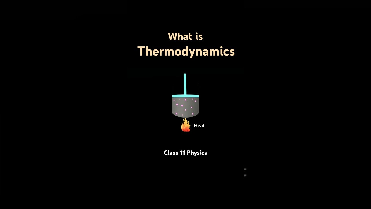 What is Thermodynamics? | Class 11 Physics Explained