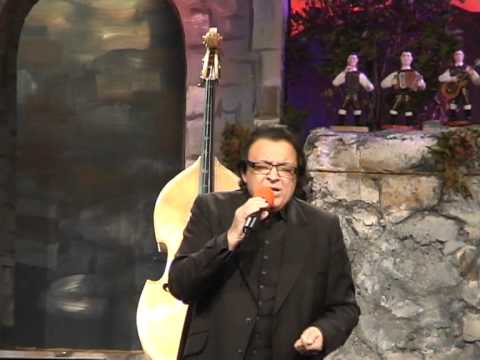 Oto Pestner & Pihalna godba Laško-30 let (v živo)